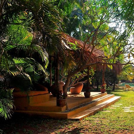 The Clematis Hotell Candolim Eksteriør bilde