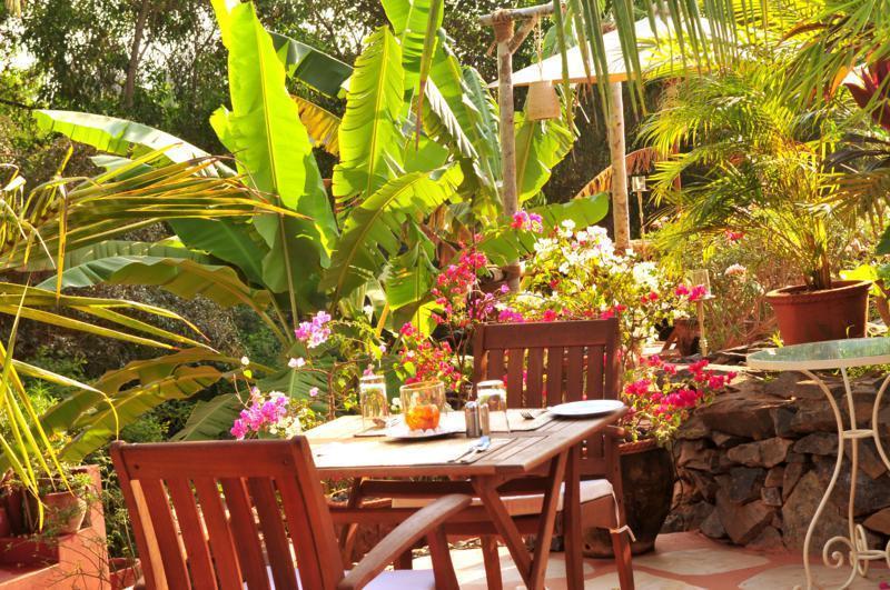 The Clematis Hotell Candolim Eksteriør bilde