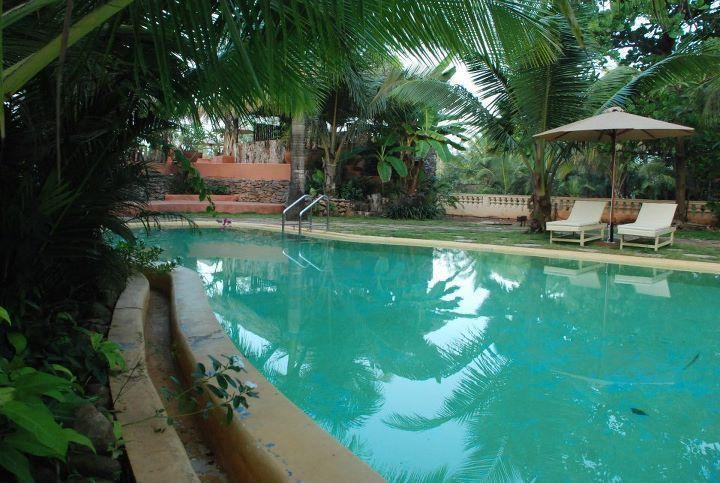 The Clematis Hotell Candolim Eksteriør bilde
